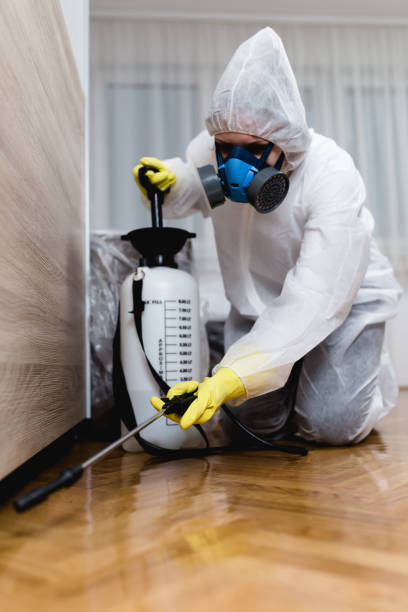 Professional Pest control in West End Cobb Town, AL